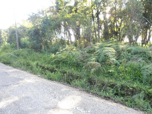 Imagem 6 de 15 de Terreno Para Venda Em Quatro Barras, Jardim Orestes Thá - Te-029_2-171078