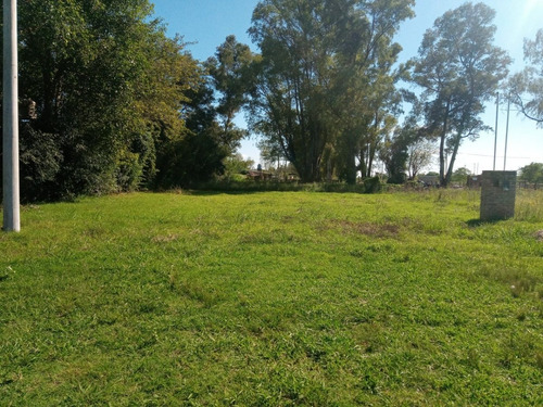 Imagen 4 de 4 de Terreno En Venta Lima, Zarate.