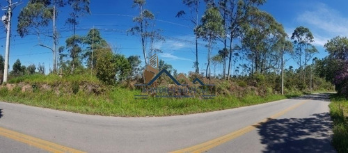 Imagem 1 de 6 de Área De 63 Mil M2 Em Caucaia Do Alto, A 2 Km Do Centro, No Asfalto. - 419