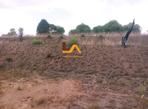 Imagen 4 de 10 de Terreno En Rustico En Venta En San Lucas Cuahutelulpan