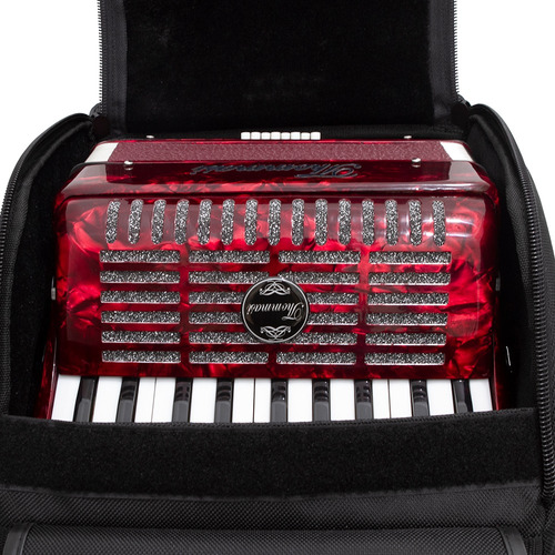 Acordeon Thommasi 8 Baixos 22 Teclas Ta 822 Vermelho
