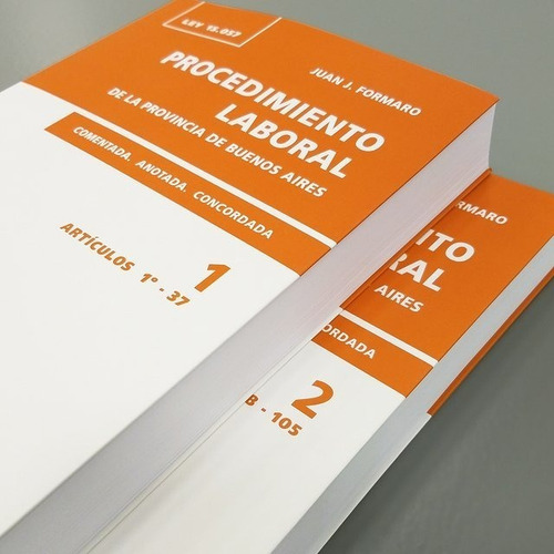 Procedimiento Laboral Provincia De Buenos Aires. Ed. 2024