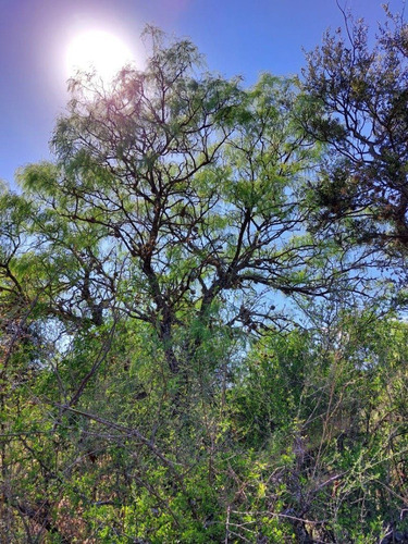 Imagen 7 de 10 de Venta De Terrenos En Las Chacras Villa De Las Rosas Traslasierra Cordoba