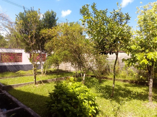 Chácara - 4040 - 34979999