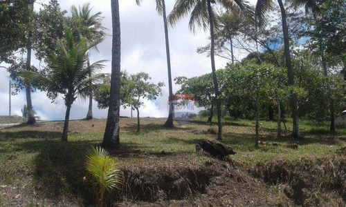 Imagem 18 de 21 de Chácara Com 4 Dormitórios À Venda, 50000 M² Por R$ 1.100.000,00 - Santa Rita - Igarassu/pe - Ch0028