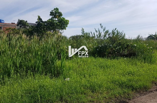 Imagem 3 de 7 de Terreno À Venda No Litoral Medindo 286m² - Ter089 Lc