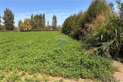 Venta Terreno Agrícola, Coltauco
