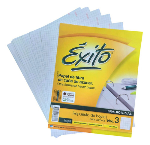 Repuesto Hojas Cuadriculadas De Carpeta Numero 3 Exito X 48