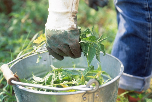 Fertilizante, Insecticida Organizo Puri - L a $5333