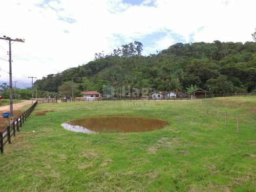 Imagem 19 de 19 de Chácara À Venda No Bairro Moura - Canelinha/sc - 1960c