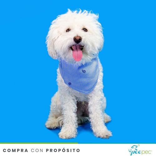 Imagen 3 de 3 de Paliacate Ameba Azul (s)