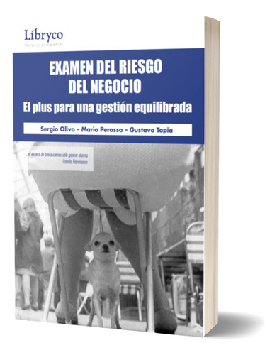 Examen Del Riesgo Del Negocio - Sergio Olivo