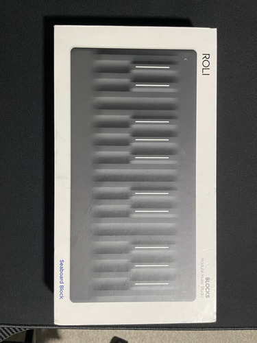 Roli Seaboard Block (Usado)