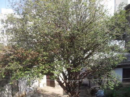 Imagem 5 de 5 de Venda - Terreno - Jardim Bela Vista - Americana - Sp - Ev671805