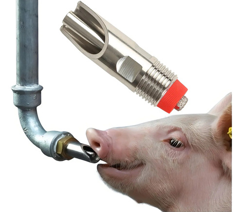 Bebedouro Suíno 10 Unidades Bico Chupeta Em Inox Automático