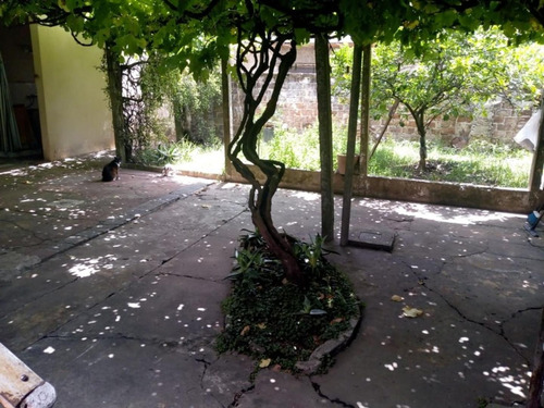 Imagen 16 de 18 de Casa Americana De Tres Ambientes En Venta En Morón Sur