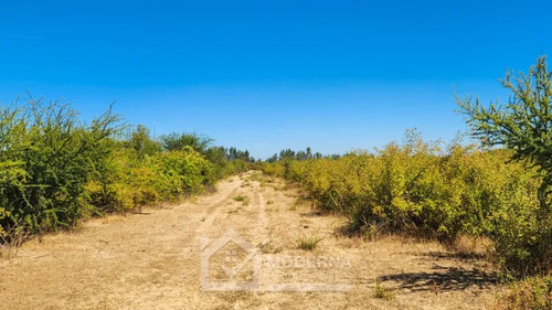Agrícola En Arriendo A Largo Plazo En Pelarco