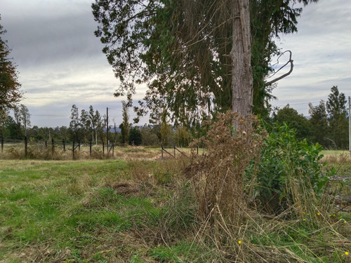 Parcela En Venta 5000mtrs, Sexta Faja, Pitrufquén