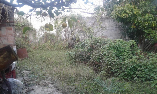 Imagen 15 de 16 de Local Más Cuatro Departamentos A Nuevo - Boulogne