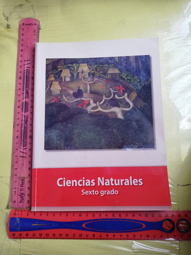 Ciencias Naturales 6 Grado Sep (Usado)