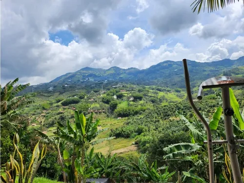Venta De Finca En El Peñol Vereda La Helida