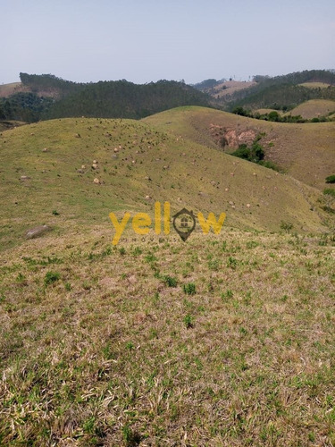 Imagem 2 de 11 de Rural - Cruz Branca - Ru-4005
