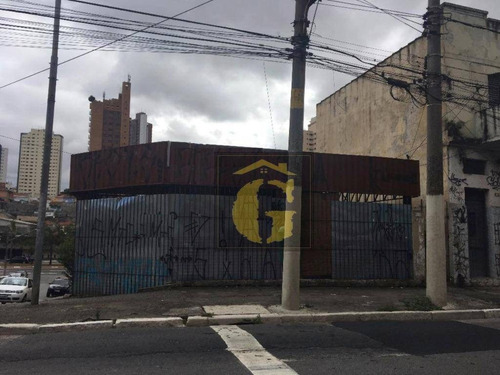 Imagem 2 de 2 de Terreno Comercial Para Locação, Vila Regente Feijó, São Paulo. - Te0008