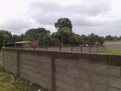 Imagem 9 de 12 de Terreno Para Venda Em Mongaguá, Balneário Arara Vermelha - 541_1-1136661