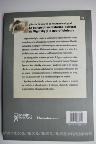 La Perspectiva Histórico-cultural De Vigotsky Y La Neuroc168 (Usado)