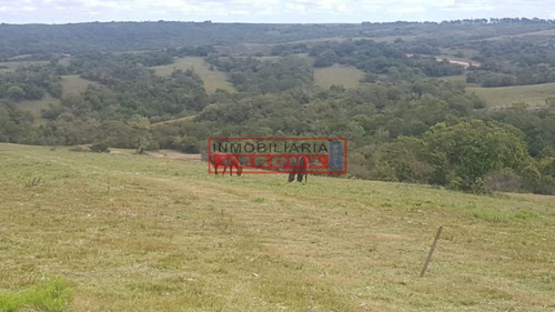 Imagen 27 de 30 de Venta Campo Ubicado En Garzón