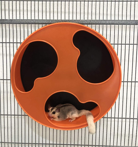 Corredor Silencioso De 30 Cm Para Pequeños Animales Con Rued