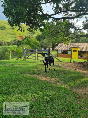 Imagem 8 de 15 de Em Maravilha - Paty Do Alferes - 2206