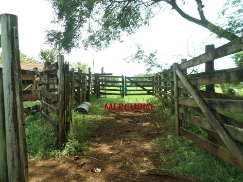 Imagem 2 de 17 de Chácara Com 3 Dormitórios À Venda, 2 M² Por R$ 950.000,00 - Dos Macacos - Pederneiras/sp - Ch0114