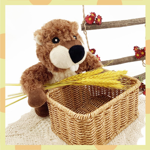 Castor De Peluche 8.5 Pulgadas Para Niños Y Niñas Color