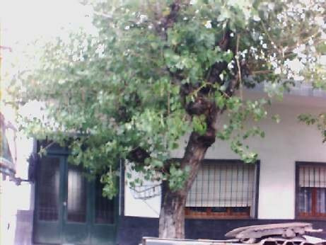 Imagen 3 de 5 de Otro En Venta En Moron Norte