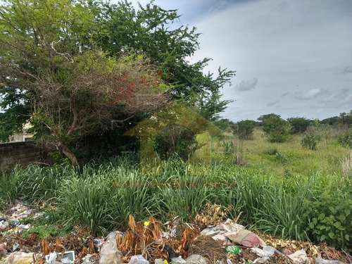 Imagen 13 de 13 de Terreno En Venta Paraparal Los Guayos Vende Angela Garcia Git 0414-3409699