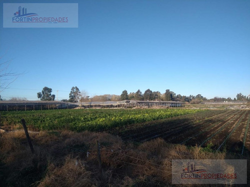 Imagen 5 de 8 de Campo - Los Hornos