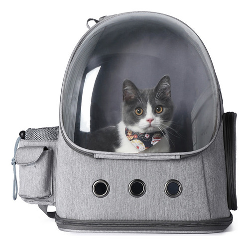 Recomiende La Versión Más Vendida Space Cat Dog Mochila Carr