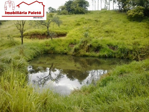 Imagem 7 de 15 de Sitio - 5204 - 69513508