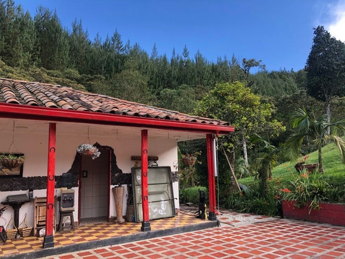 Imagen 13 de 20 de Hermosa Finca En Venta El Carmen De Viboral