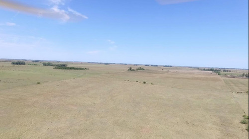 Imagen 7 de 19 de Campo Mixto De 280 Has Con Inmejorable Acceso Sobre Asfalto En Alegre - Oportunidad !