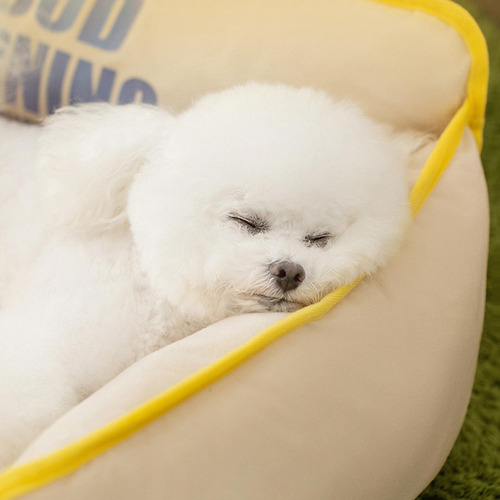 Cama Para Perros, Colchón Antideslizante Para Dormir Para