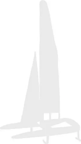 Amewi Big Storm Catamarán De Carreras Sin Escobillas, 740 Mm ARTR, Velocidad +60 Km/h, Color Verde Y Negro, Con Regulador Refrigerado Por Agua