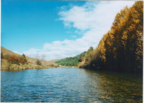 Imagen 2 de 9 de Vendo Campo 10,5 Ha San Miguel Del Rio