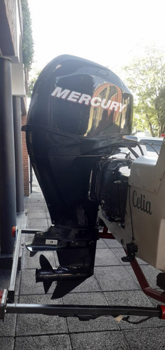 Imagen 8 de 14 de Traker Virgin Marine 520 Mercury 4 Tiempos