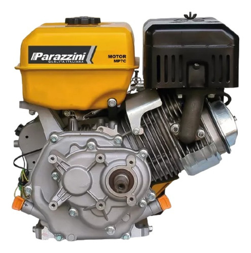 Motor Parazzini 7hp Con Reductor Premium 