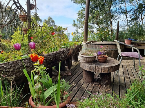 Casa Con Orilla De Playa En Punta Larga - Frutillar