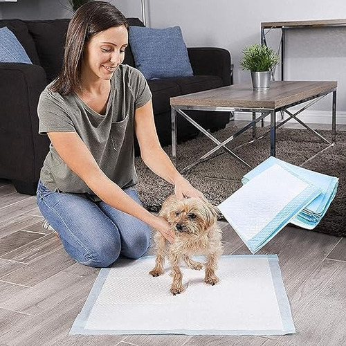 De 100 Pañales Tapete Trainer For Cão Almohadillas