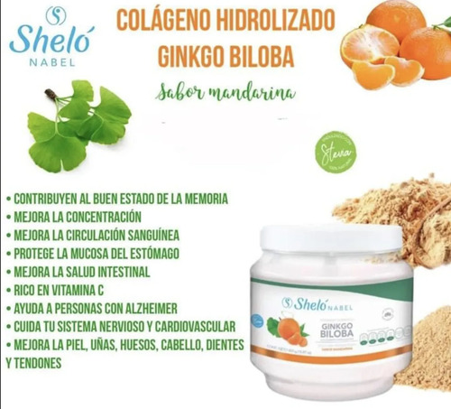 Ginkgo Biloba Shelo Nabel Articulaciones 450g Mandarina