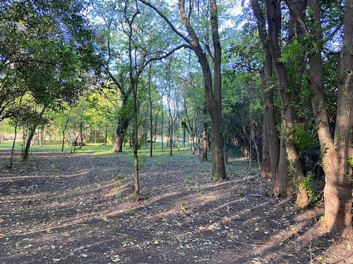 Terreno Entre Caminos . Zona Parque Ecológico